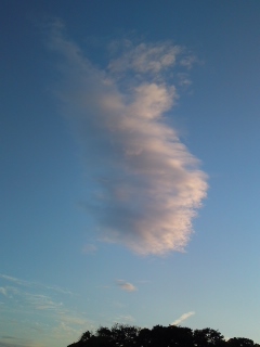 昨日の空♪思い出を共有しあえる仲間たち_e0136066_857920.jpg