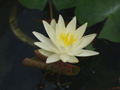f0208666_18142629.jpg