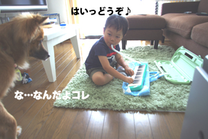 f0238772_22403540.jpg