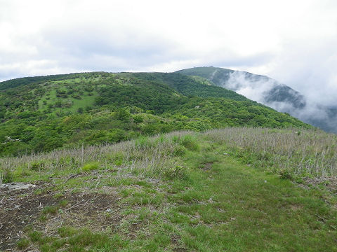 c0002874_20212928.jpg