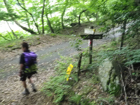 c0002874_20315983.jpg