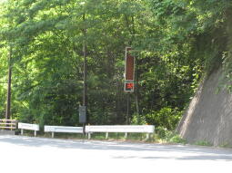 f0186275_1012979.jpg
