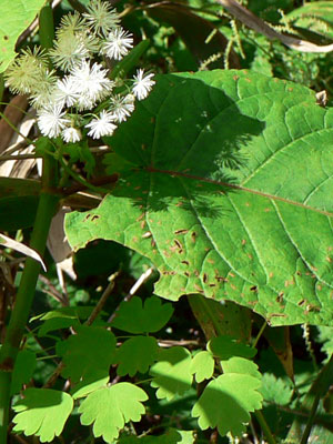 f0083977_7525670.jpg