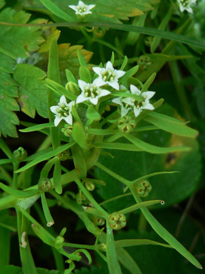 f0083977_756042.jpg