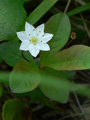 f0083977_830036.jpg