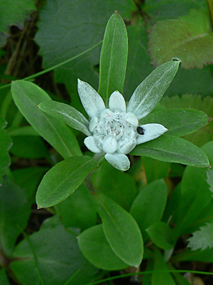 f0083977_8332574.jpg