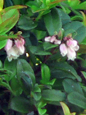 f0083977_8351551.jpg