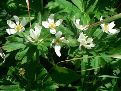f0083977_835796.jpg