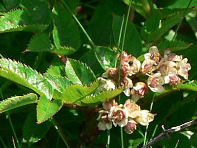 f0083977_836243.jpg