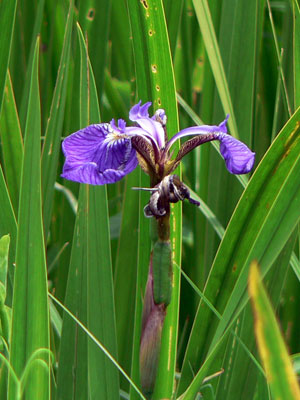 f0083977_8381519.jpg