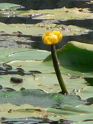 f0083977_8421939.jpg