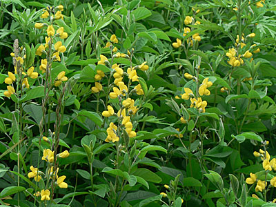 f0083977_85137.jpg
