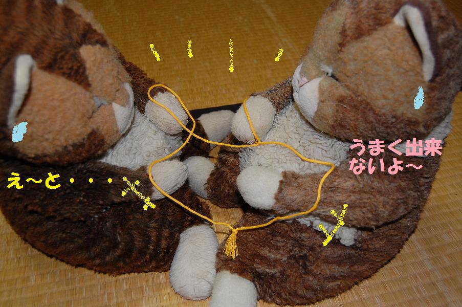 b0059978_21151710.jpg