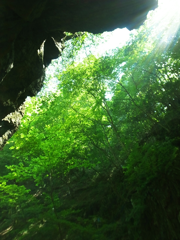 c0055882_1732392.jpg