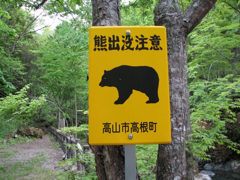 この夏、博多阪急にカバ出没??_e0221583_9462059.jpg