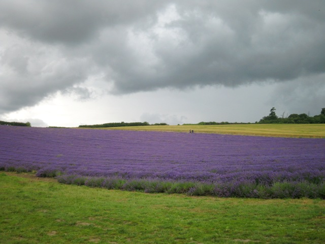 f0141785_812328.jpg