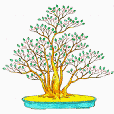 盆栽の概念と作り方と樹形 盆栽クラブ