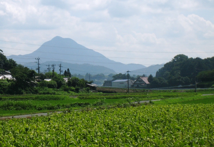 b0054391_758363.jpg