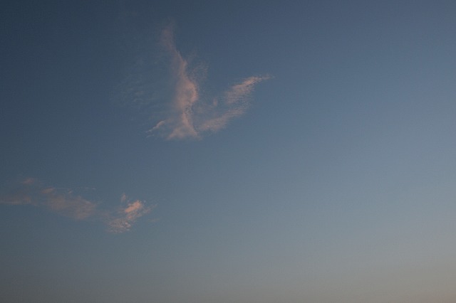 d0181193_2594.jpg