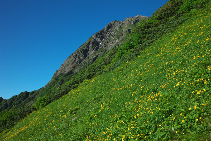 b0065997_2136425.jpg