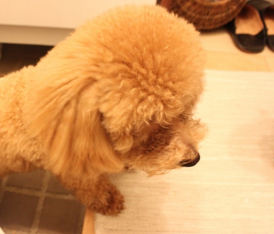 c0222400_882912.jpg