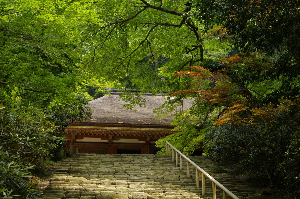 梅雨終盤の室生寺③_b0138101_21465117.jpg