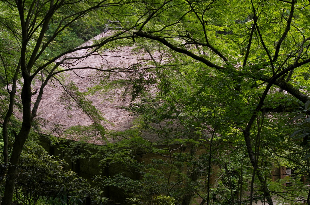 梅雨終盤の室生寺③_b0138101_21465852.jpg