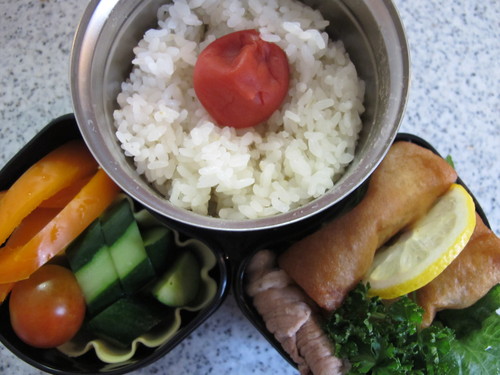 祝W杯優勝！、なでしこジャパンお弁当_c0075701_12494458.jpg