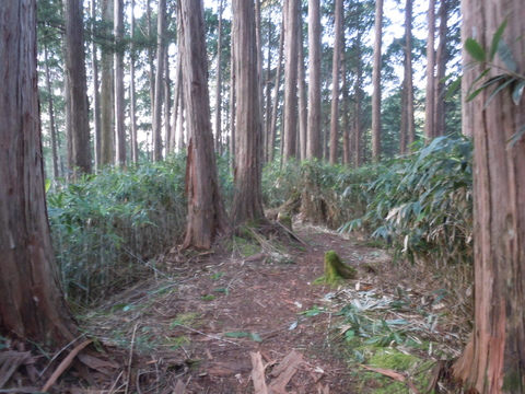 行ってきました御嶽山_d0237801_14245289.jpg