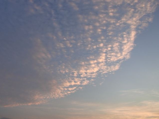f0144003_8264997.jpg