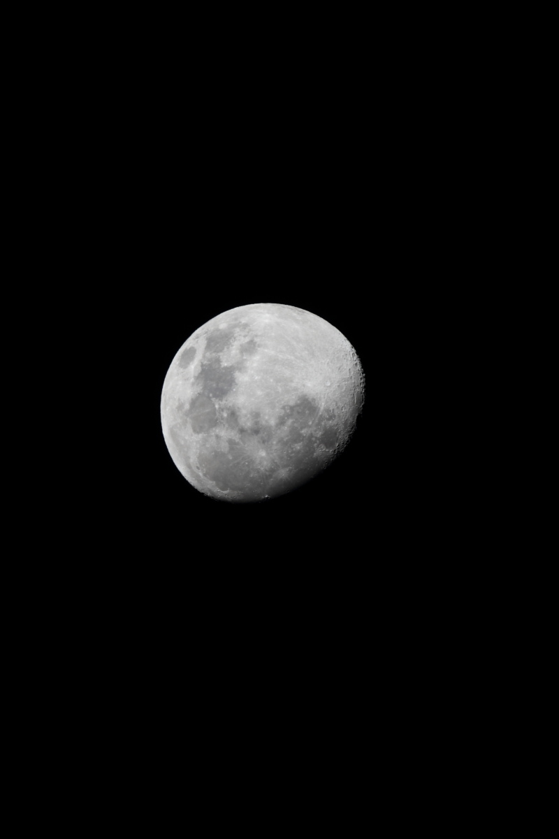a0155104_13535671.jpg