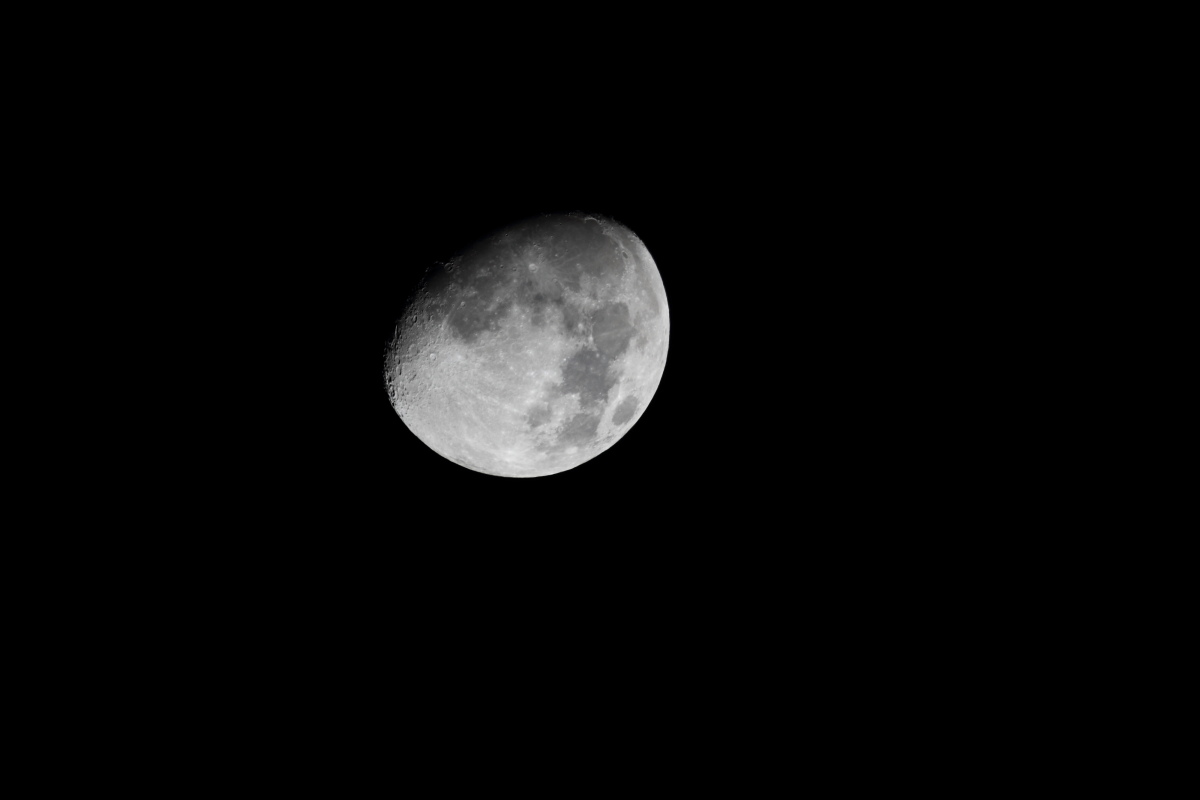 a0155104_13535899.jpg