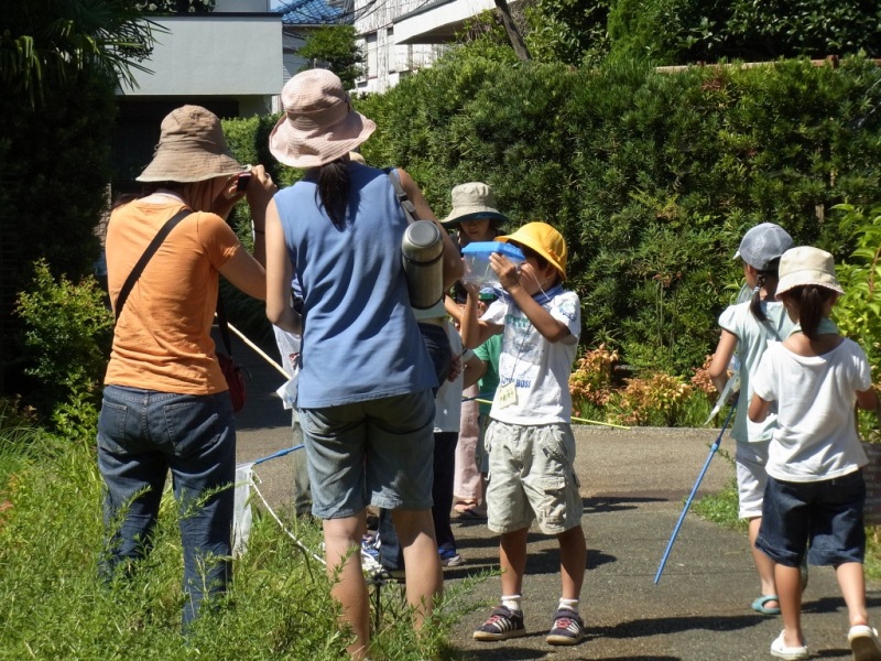 すみれば探検隊_b0049307_1639772.jpg