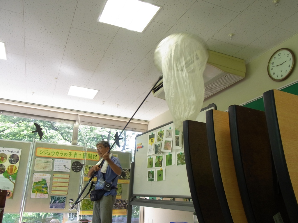 すみれば探検隊_b0049307_1643754.jpg