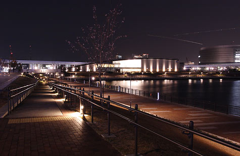 b0166909_2505747.jpg