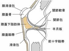 当組合の自浄意識 NO,1議題にも上らず。_e0097212_14151584.jpg