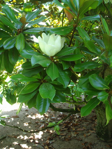 c0124619_0204317.jpg