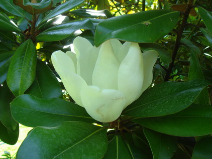 c0124619_021325.jpg