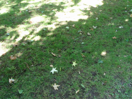 c0124619_021555.jpg