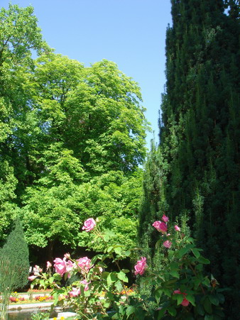 c0124619_0223224.jpg