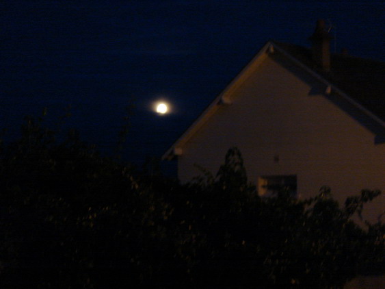 c0124619_035243.jpg