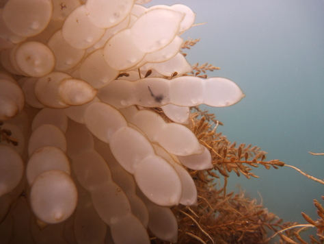 a0104720_01671.jpg