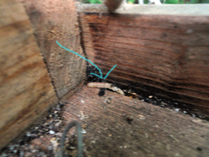 f0232920_11204474.gif
