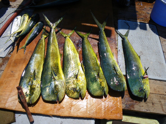 e0102422_1514995.jpg