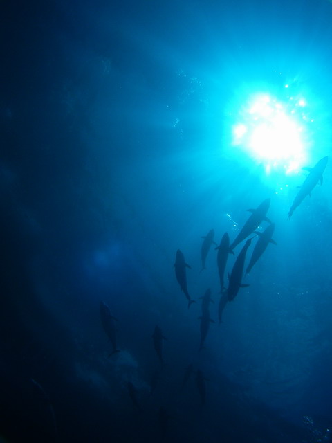 e0098223_10425165.jpg