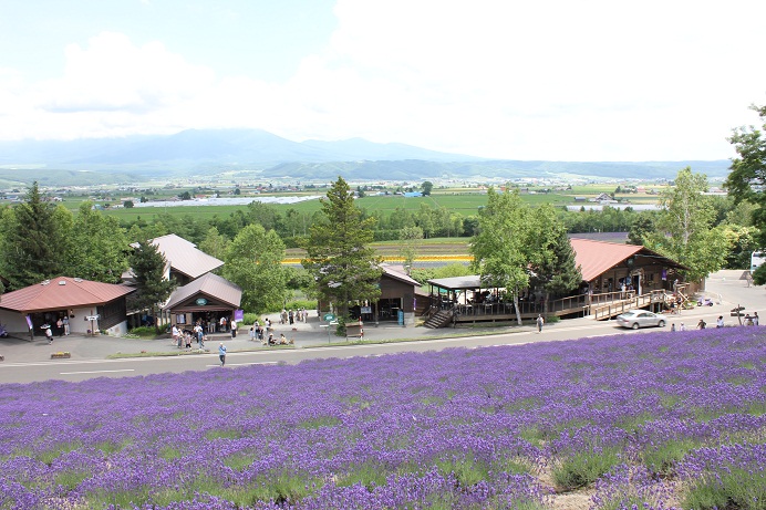 【7】北海道・・・富良野 ラベンダー_e0071524_16221782.jpg