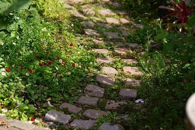 f0170524_18493058.jpg