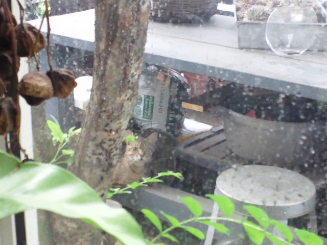 プライド_c0102228_10232495.jpg