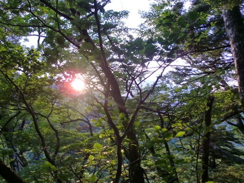 石鎚山 2011 ~後篇_d0125228_1362315.jpg