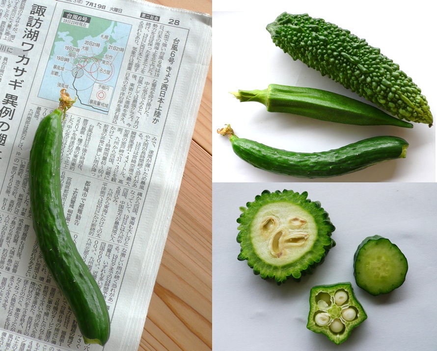 安曇野 夏の畑 その1_a0212730_7282799.jpg